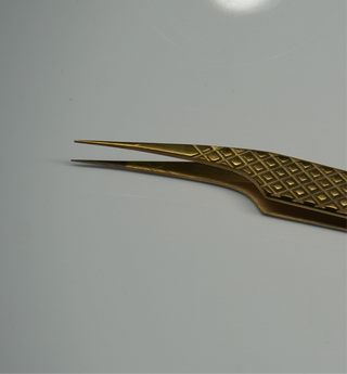 Pinza de Ailar #4 Inglaterra