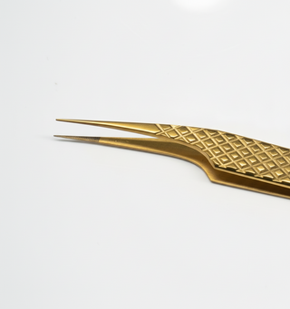 Pinza de Ailar #4 Inglaterra