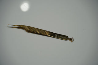 Pinza de Ailar #4 Inglaterra