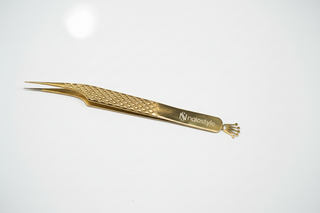 Pinza de Ailar #4 Inglaterra